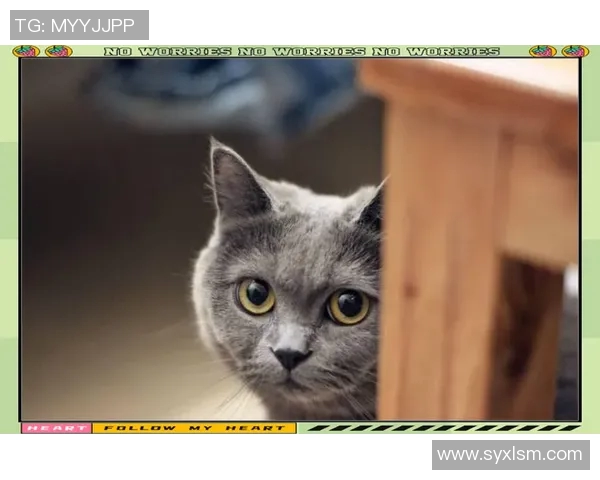 创意手机壳手绘设计展现足球明星风采与个性魅力 创意手机壳手绘设计展现足球明星风采与个性魅力