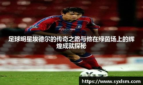 足球明星埃德尔的传奇之路与他在绿茵场上的辉煌成就探秘
