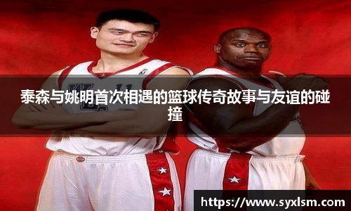 泰森与姚明首次相遇的篮球传奇故事与友谊的碰撞